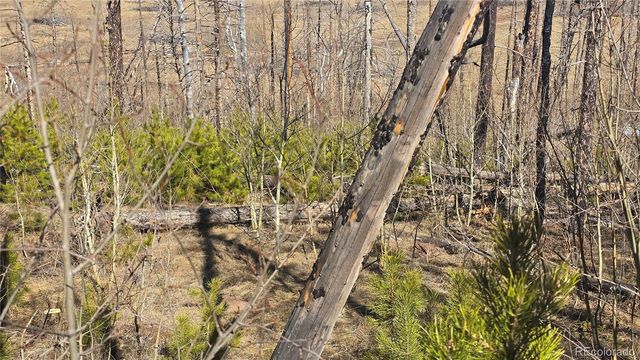 Lot 1470 Von Heyl Lane, Fort Garland, CO 81133