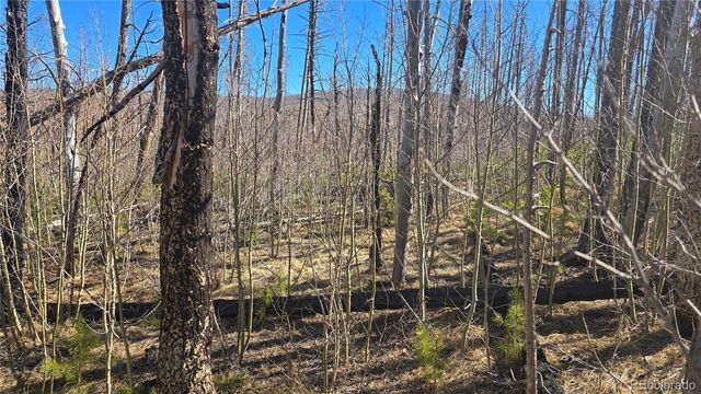 Lot 1470 Von Heyl Lane, Fort Garland, CO 81133