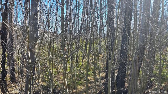 Lot 1470 Von Heyl Lane, Fort Garland, CO 81133