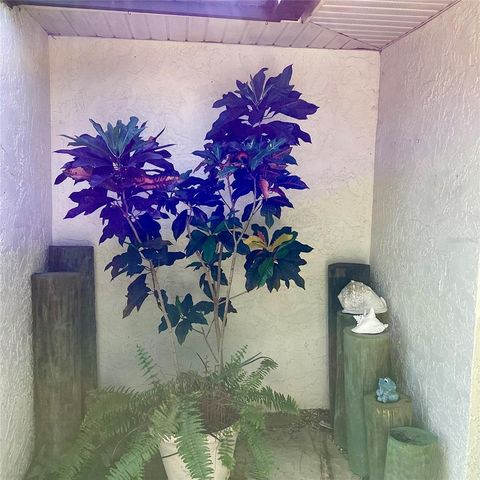 1428 PINE ISLAND COURT, Punta Gorda, FL 33950