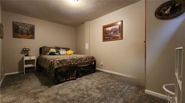 812 Apple Blossom Street, Excelsior Springs, MO 64024