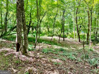LOT 3 Lower Fox Trail, Blairsville, GA 30512