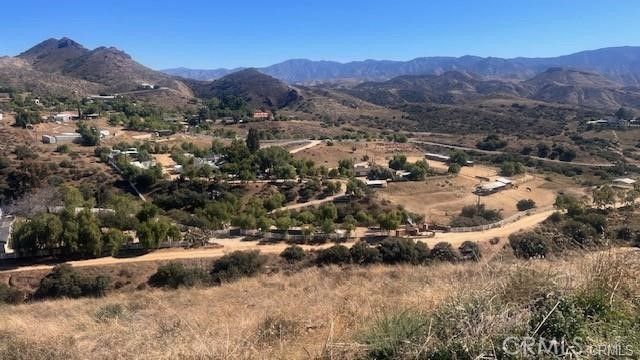 32600 Willow Lane, Agua Dulce, CA 91390