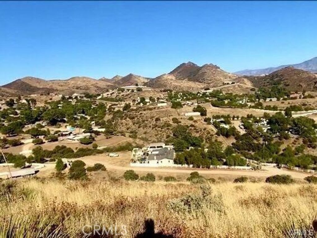 32600 Willow Lane, Agua Dulce, CA 91390