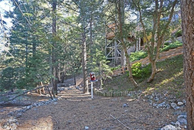 1217 Azalea Drive, Pine Mountain Club, CA 93222
