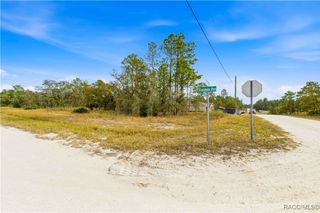 0 Tinamou Avenue, Weeki Wachee, FL 34614