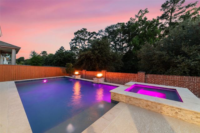 2319 Pale Star Drive, Conroe, TX 77384