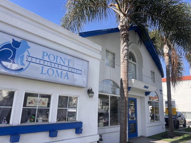 1964 Sunset Cliffs Boulevard, San Diego, CA 92107