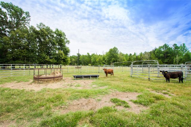 5001 VZ CR 4915 Road, Ben Wheeler, TX 75754