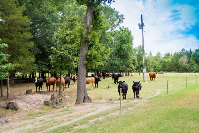 5001 VZ CR 4915 Road, Ben Wheeler, TX 75754