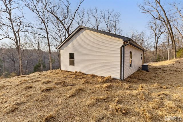 9738 Flo Drive, Bonne Terre, MO 63628