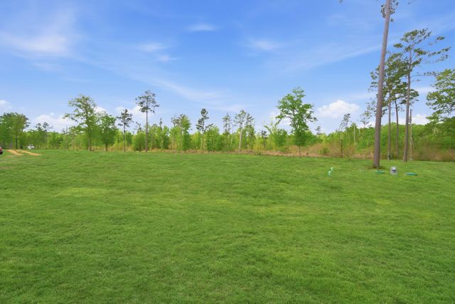 446 Hanson Road, Onalaska, TX 77360