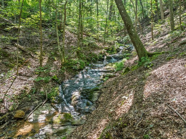 166 Walnut Mountain Court, Ellijay, GA 30536
