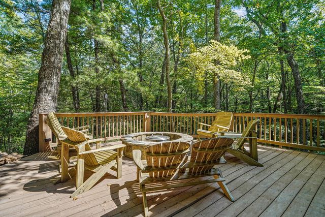 166 Walnut Mountain Court, Ellijay, GA 30536