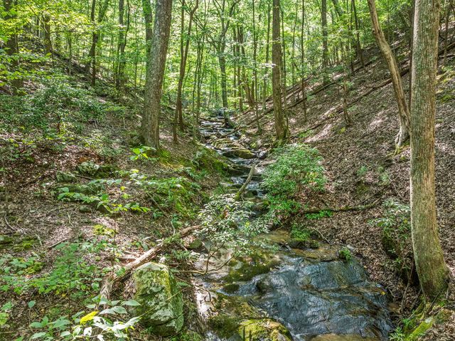 166 Walnut Mountain Court, Ellijay, GA 30536
