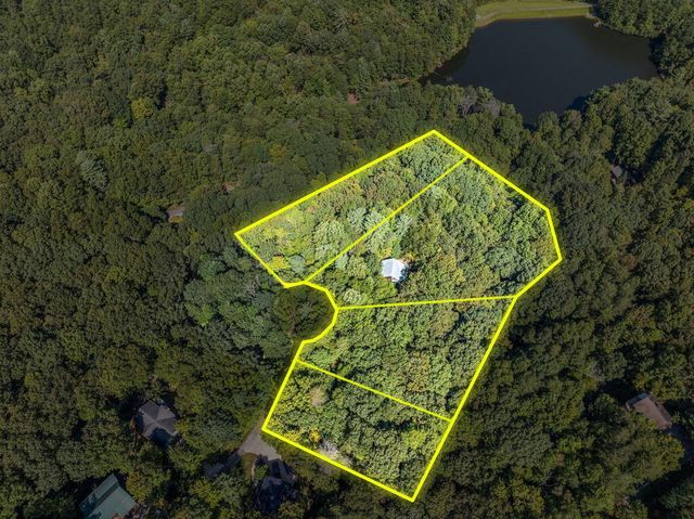 166 Walnut Mountain Court, Ellijay, GA 30536