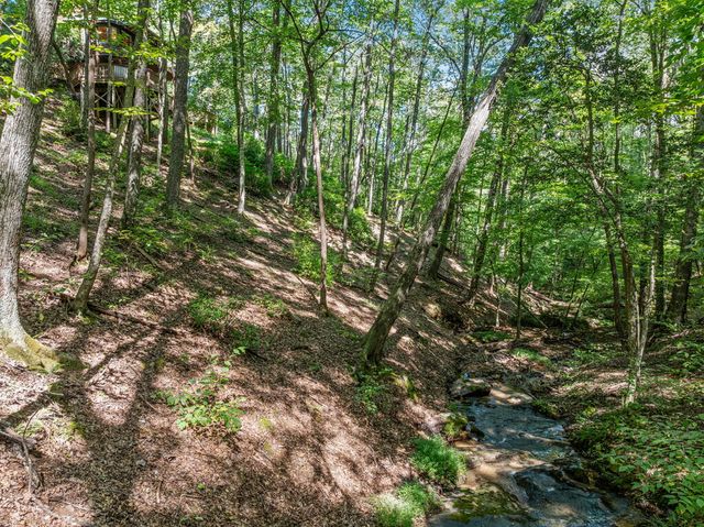 166 Walnut Mountain Court, Ellijay, GA 30536