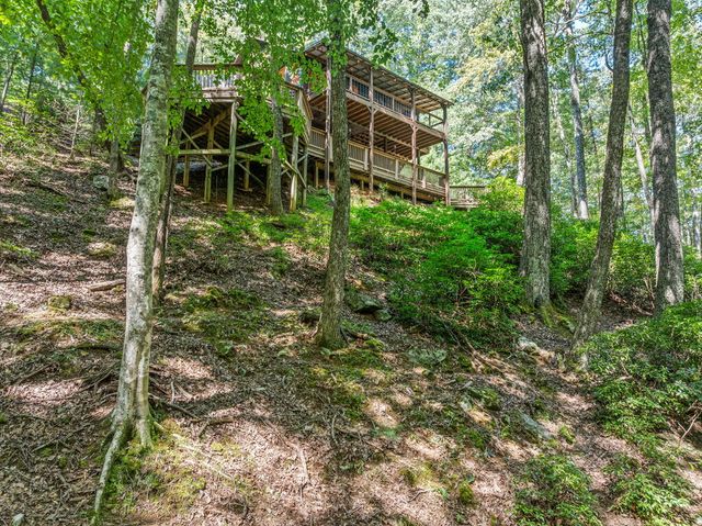166 Walnut Mountain Court, Ellijay, GA 30536
