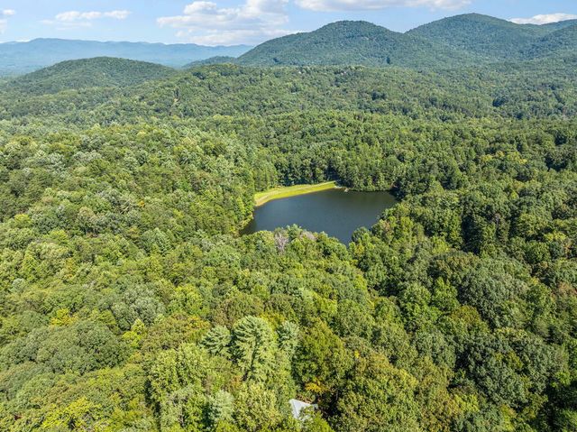 166 Walnut Mountain Court, Ellijay, GA 30536