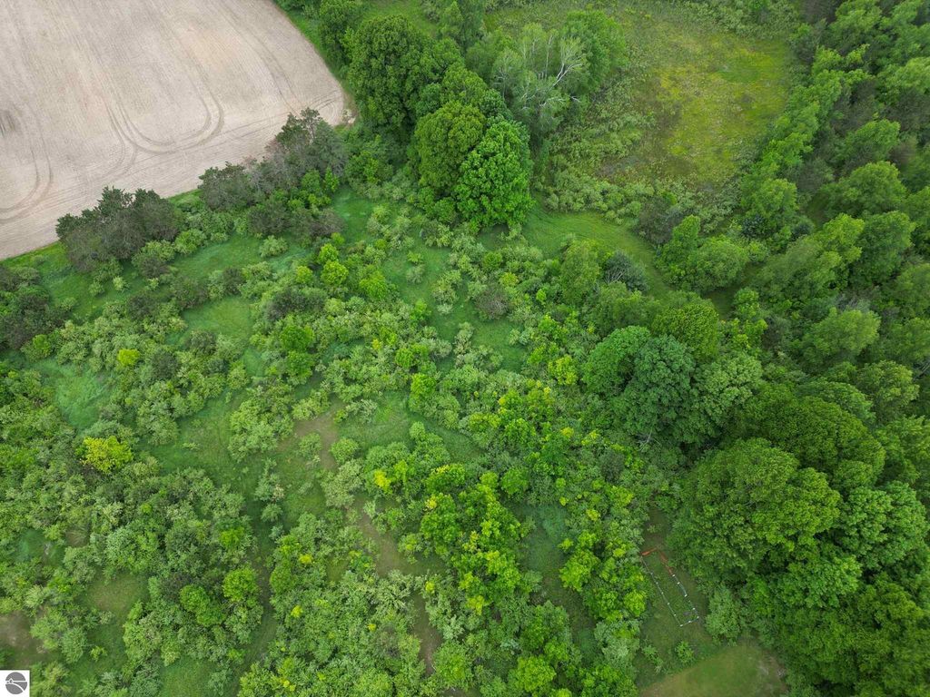 Image 4 of property listing at TBD Juniper Drive, Farwell, MI 48622