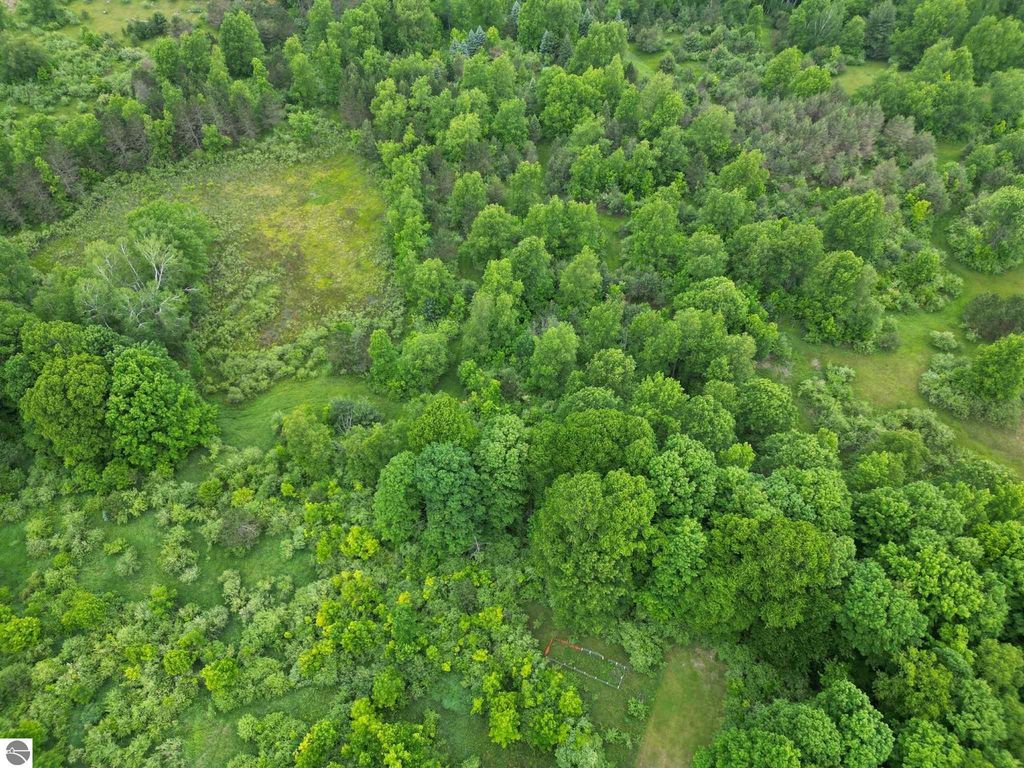 Image 5 of property listing at TBD Juniper Drive, Farwell, MI 48622