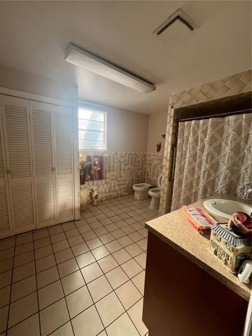 2405 CORRINE STREET, Tampa, FL 33605