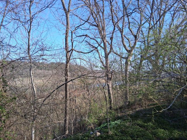 666 Baker Street, Forsyth, MO 65653