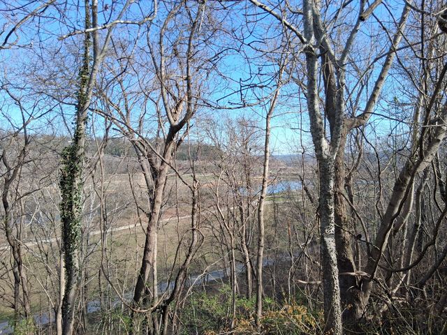 666 Baker Street, Forsyth, MO 65653