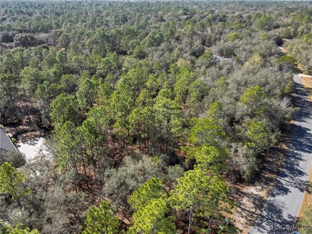 3905 N Longvalley Road, Hernando, FL 34442