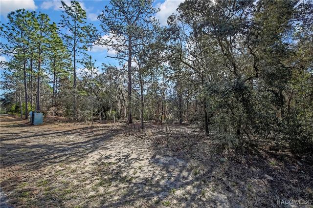 3905 N Longvalley Road, Hernando, FL 34442