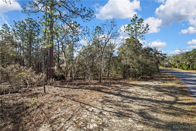 3905 N Longvalley Road, Hernando, FL 34442