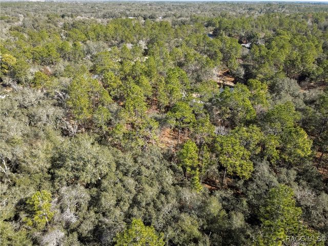 3905 N Longvalley Road, Hernando, FL 34442