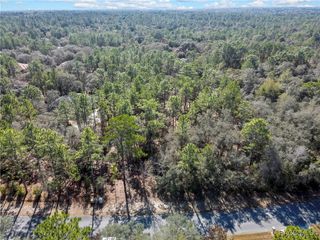 3905 N Longvalley Road, Hernando, FL 34442