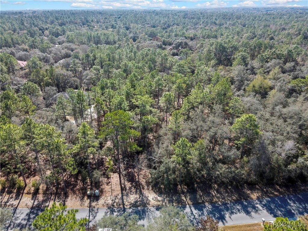 3905 N Longvalley Road, Hernando, FL 34442