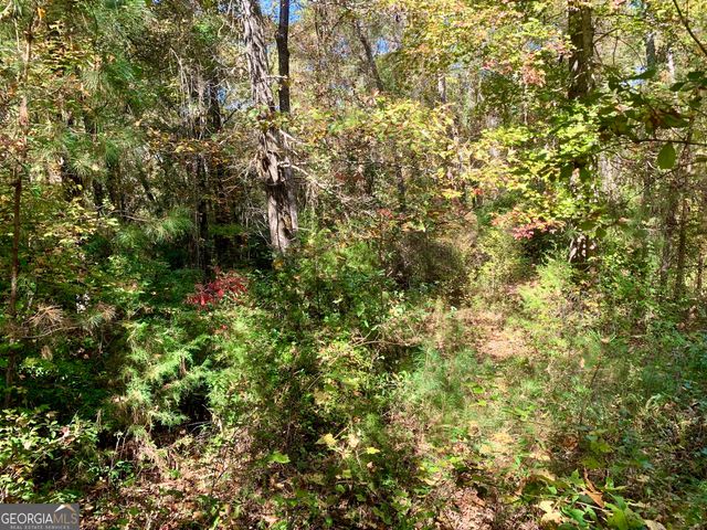106 Maple Glen Court, Centerville, GA 31028