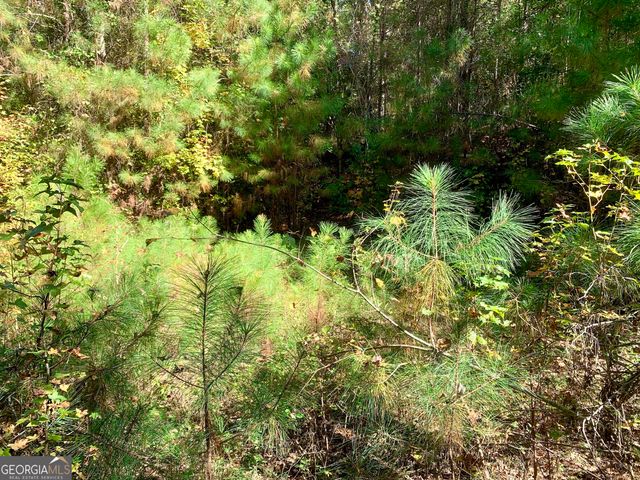 106 Maple Glen Court, Centerville, GA 31028
