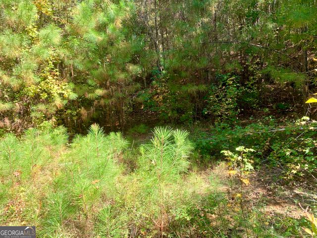 106 Maple Glen Court, Centerville, GA 31028