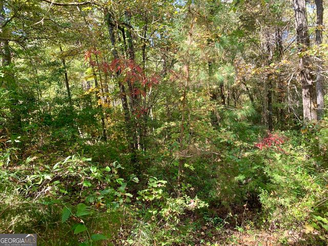 106 Maple Glen Court, Centerville, GA 31028