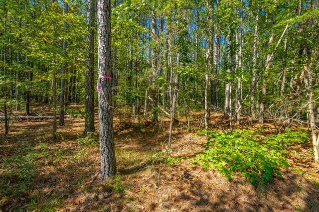 000 Houston Valley Road, Ringgold, GA 30736