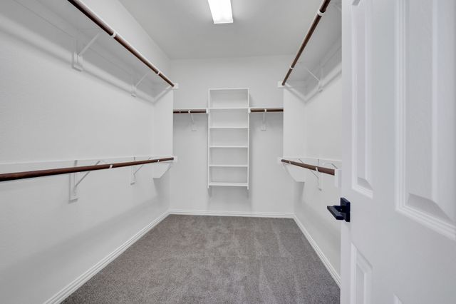 3257 Button Bush Drive, Fort Worth, TX 76244