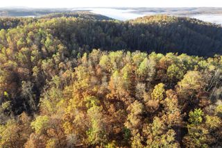 0 County Road 336, Annapolis, MO 63620