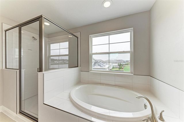 10186 SURREY ROSE DRIVE, San Antonio, FL 33576