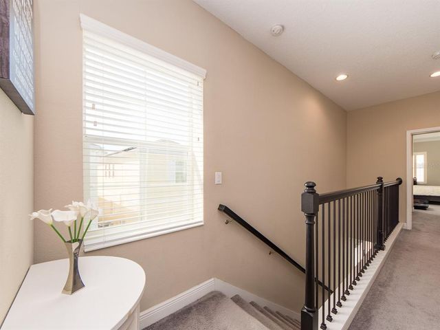 311 VISTA CRUISER LANE, Oldsmar, FL 34677