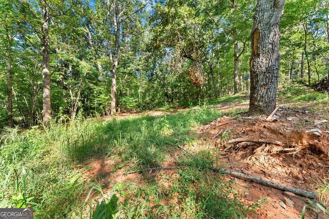 375 Mountain Crest Drive, Clarkesville, GA 30523