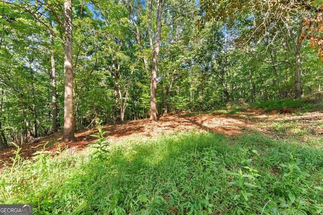 375 Mountain Crest Drive, Clarkesville, GA 30523