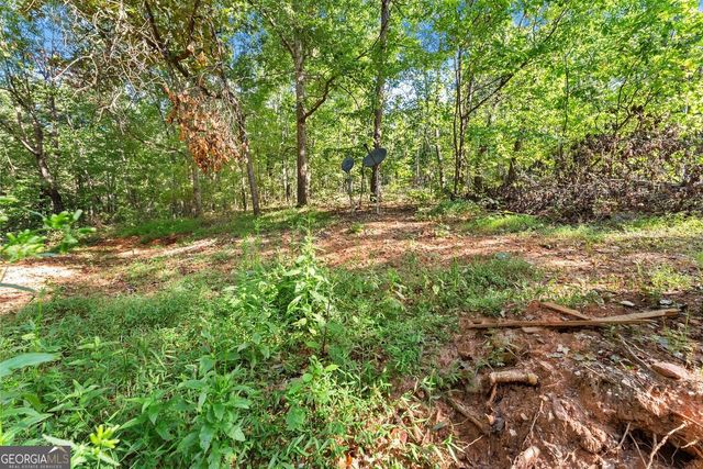 375 Mountain Crest Drive, Clarkesville, GA 30523