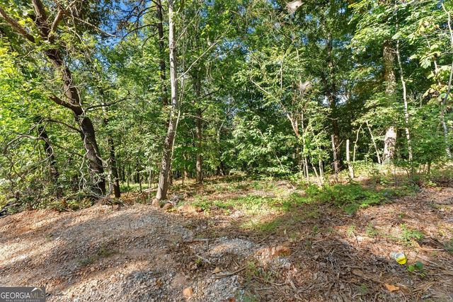 375 Mountain Crest Drive, Clarkesville, GA 30523