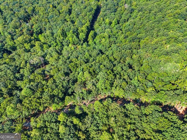 375 Mountain Crest Drive, Clarkesville, GA 30523