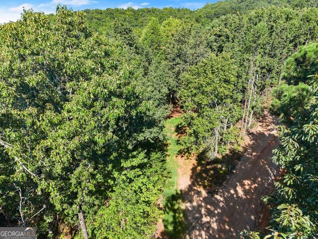 375 Mountain Crest Drive, Clarkesville, GA 30523