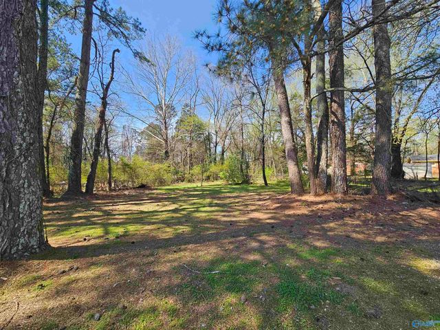 4113 Blue Springs Road, Huntsville, AL 35810